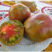 Насіння томату Чорний ананас 15 насінин Насіння томату Чорний ананас 15 насінин