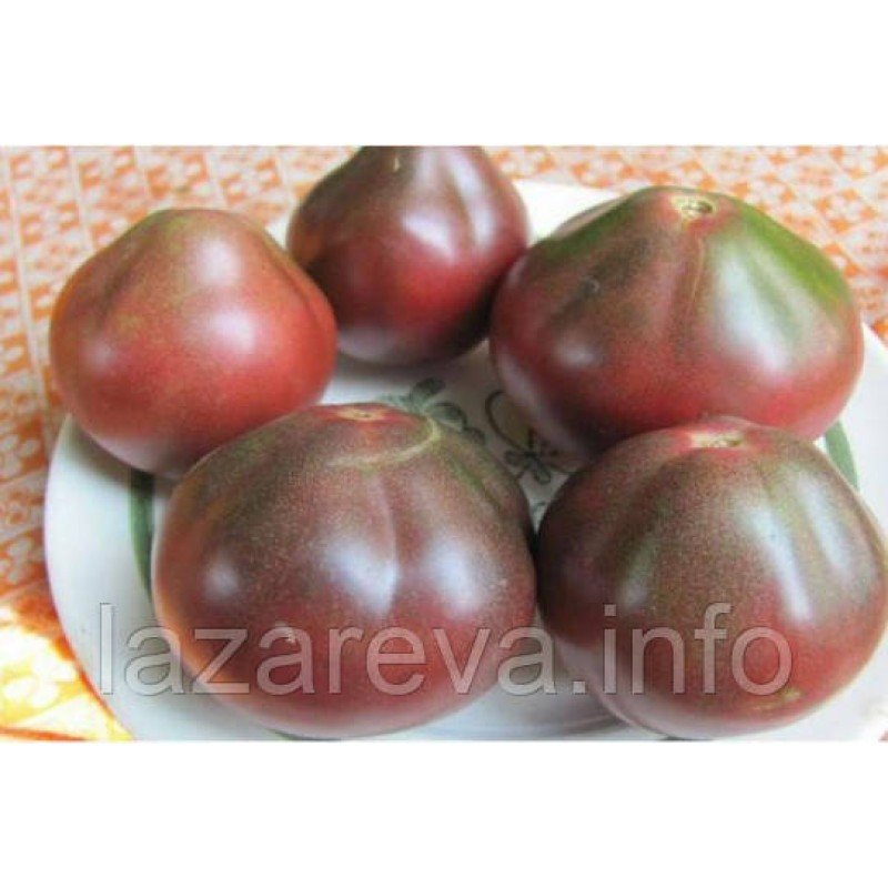 Насіння томату Шоколадна Амазонка 15 насінин Насіння томату Шоколадна Амазонка 15 насінин
