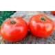 Семена томата Агронавт 30 семян