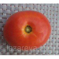 Насіння томату Насіння від Лазарєвих Акселерат 0,1 гр (15-30 насінин)