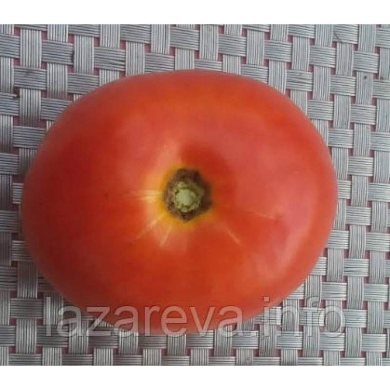 Семена томата Акселерат (15 семян) Семена томата Акселерат (15 семян)