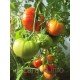 Семена томата Алтайский шедевр 30 сем Семена томата Алтайский шедевр 30 сем