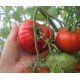 Семена томата Алтайский шедевр 30 сем Семена томата Алтайский шедевр 30 сем