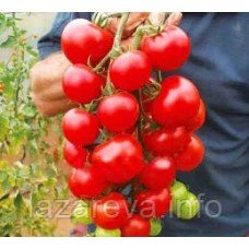 Насіння томату Аліканте 30 нас
