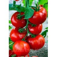 Семена томата Ковбой 30 сем