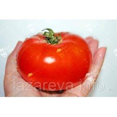 Насіння томату Король королів 30 нас