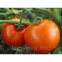 Насіння томату Міраж 30 нас Насіння томату Міраж 30 нас