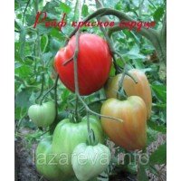 Семена томата Райф красное сердце 30 сем Семена томата Райф красное сердце 30 сем