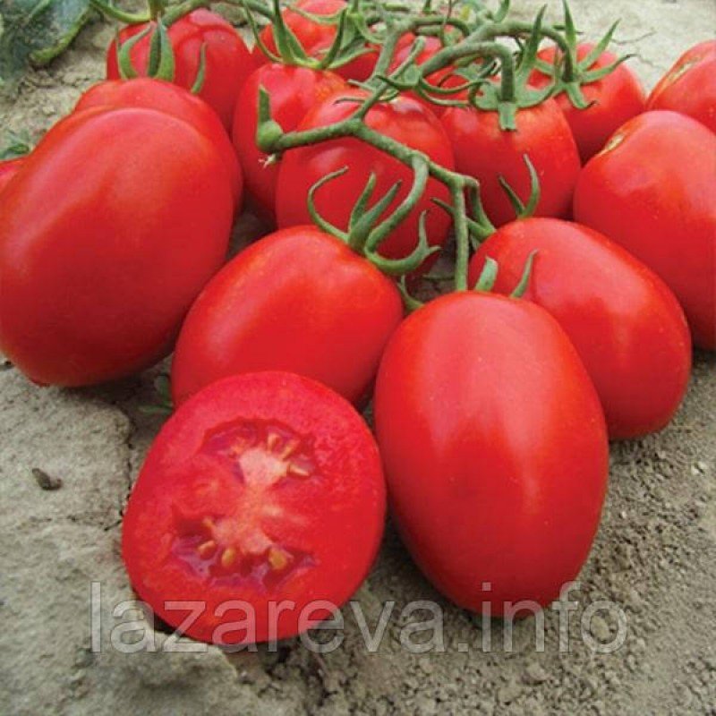 Семена томата Тарасенко 3 30 сем