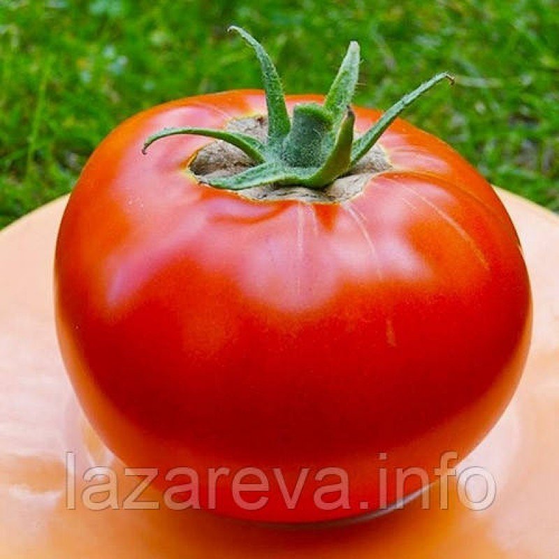 Насіння томату Яблучні 30 нас Насіння томату Яблучні 30 нас