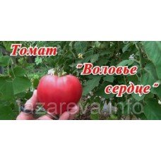 Насіння томату Волове серце (еліта) 30 нас