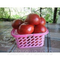 Семена томата Пандероссо 30 сем