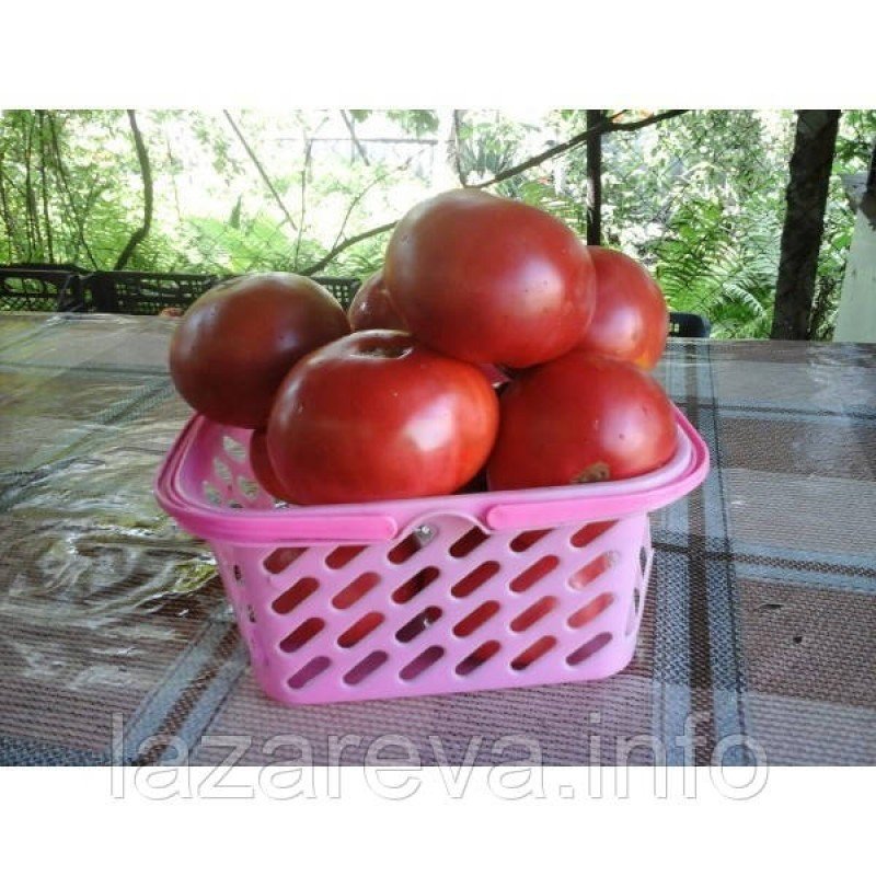 Насіння томату Пандероссо 30 нас Насіння томату Пандероссо 30 нас