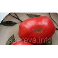 Насіння томату Пень Миру (США) 30 нас Насіння томату Пень Миру (США) 30 нас