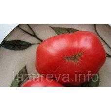 Насіння томату Пень Миру (США) 30 нас