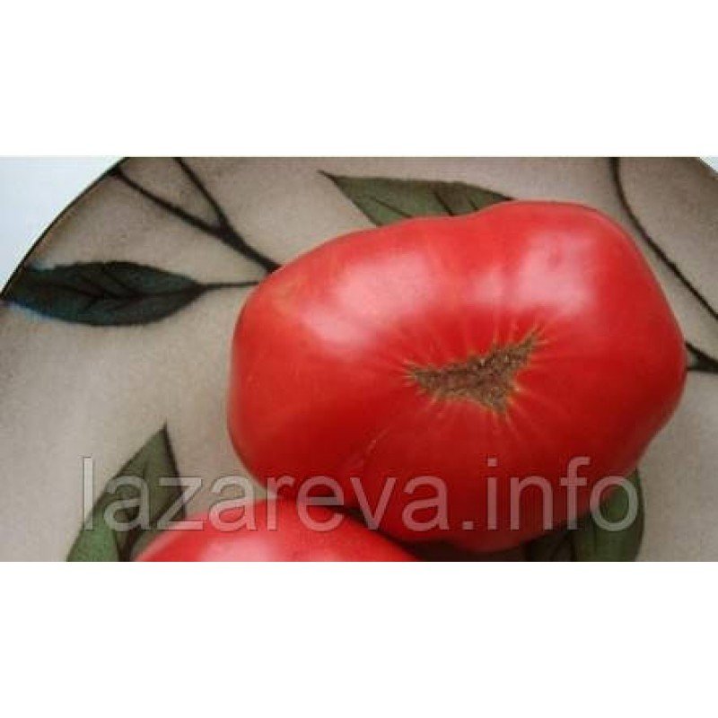 Насіння томату Пень Миру (США) 30 нас Насіння томату Пень Миру (США) 30 нас