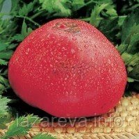 Семена томата Фатима 30 сем Семена томата Фатима 30 сем