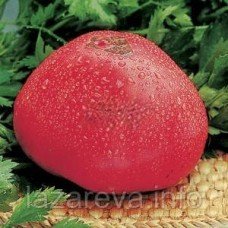 Насіння томату Фатіма 30 нас