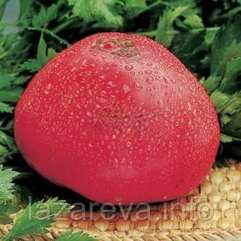 Насіння томату Фатіма 30 нас Насіння томату Фатіма 30 нас