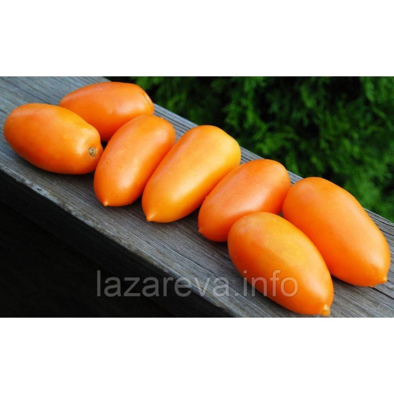 Семена томата Ананасная сливка 0,1 гр (15-30 семян) Семена томата Ананасная сливка 0,1 гр (15-30 семян)