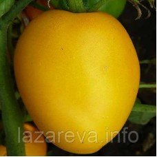 Медовий бочонок 0,1 гр (15-30 насінин)