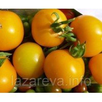 Семена томата Нежданна 30 семян