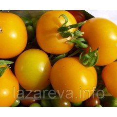 Семена томата Нежданна 30 семян Семена томата Нежданна 30 семян