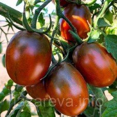 Насіння томату Чорний дракон 30 нас