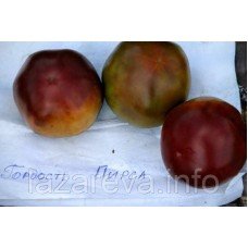 Насіння томату Гордість пірсу 15 насінин