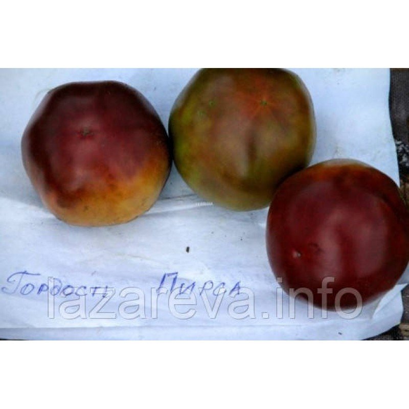 Насіння томату Гордість пірсу 15 насінин Насіння томату Гордість пірсу 15 насінин