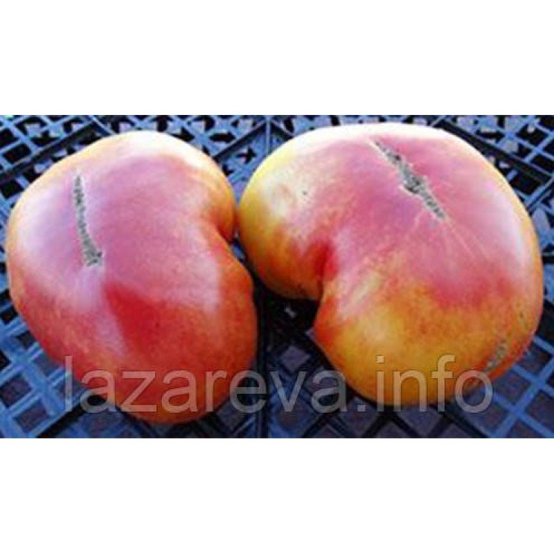 Насіння томату Гном Кайтидид (Dwarf Caitydid) 10 насінин Насіння томату Гном Кайтидид (Dwarf Caitydid) 10 насінин