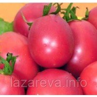 Семена томата "от Лазаревых" Настенька 15 семян Семена томата "от Лазаревых" Настенька 15 семян