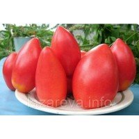 Семена томата "от Лазаревых" Супер-модель 15 семян