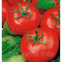 Семена томата "от Лазаревых" Сабала 15 семян Семена томата "от Лазаревых" Сабала 15 семян
