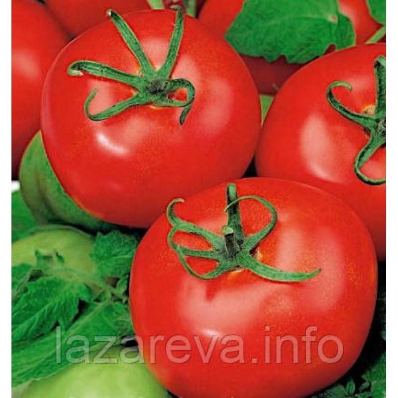 Насіння томату "від Лазарєвих" Сабала 15 насінин Насіння томату "від Лазарєвих" Сабала 15 насінин