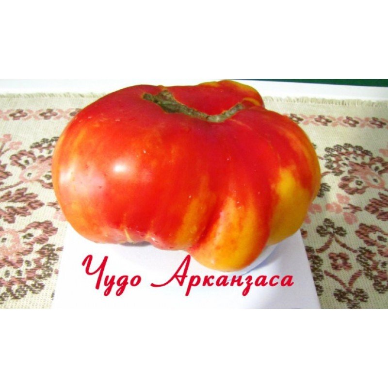 Насіння томату Диво Арканзасу 30 насінин