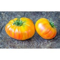 Насіння томату Лакі Крос 15 нас