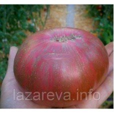 Насіння томату Смугла королева 15 шт