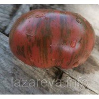 Семена томата Тай Дай Фред 15 семян Семена томата Тай Дай Фред 15 семян