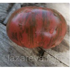 Насіння томату Тай Дай Фред 15 насінин