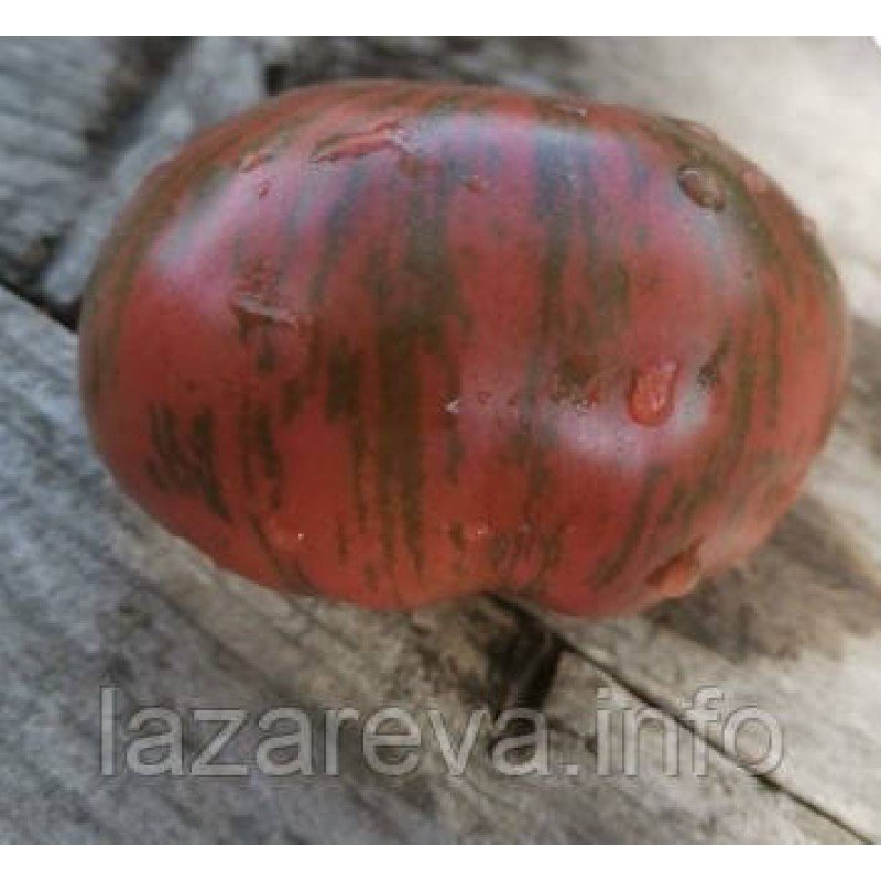 Семена томата Тай Дай Фред 15 семян Семена томата Тай Дай Фред 15 семян