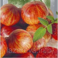 Семена томата Хамелеон 30 семян