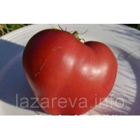 Семена томата Японское сердце 30 семян