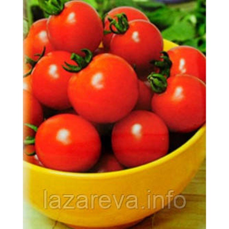 Насіння томату Киш-миш червоний 30 нас Насіння томату Киш-миш червоний 30 нас