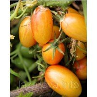 Семена томата Стыдливый румянец 30 сем