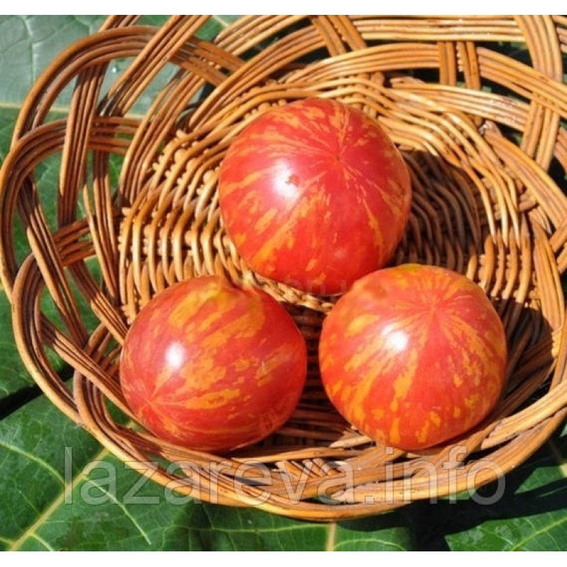 Насіння томату "від Лазарєвих" Вернісаж рожевий 30-60 насінин Насіння томату "від Лазарєвих" Вернісаж рожевий 30-60 насінин