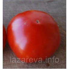 Насіння томату Лев 30 нас