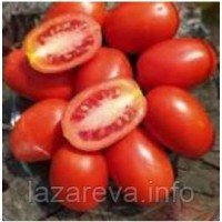 Насіння томату Сливка Фродо 30 насінин Насіння томату Сливка Фродо 30 насінин