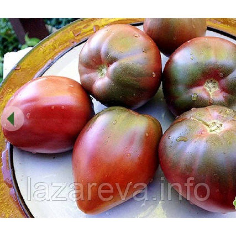 Насіння томату Южанка 30 насінин Насіння томату Южанка 30 насінин