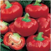 Насіння перцю Колобок  20 насінин